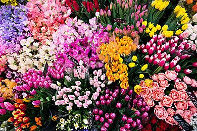 《极限竞速：地平线5》Rally Adventure将于3月底开放！